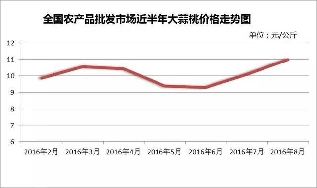 鱼台大蒜最新价格,鱼台大蒜最新价格动态分析