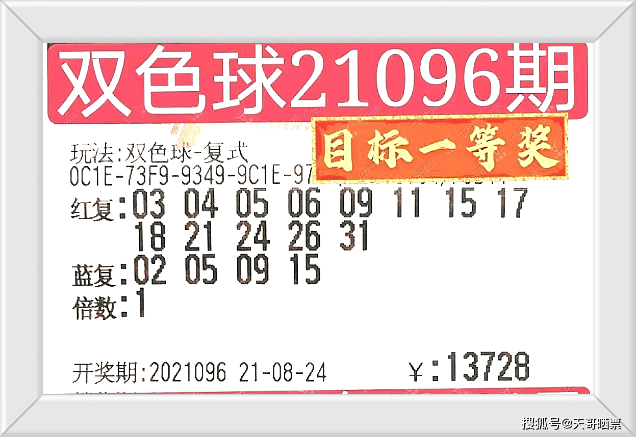 2024新澳门今晚开奖号码和香港,探索彩票奥秘，新澳门与香港的开奖号码展望（2024年展望）