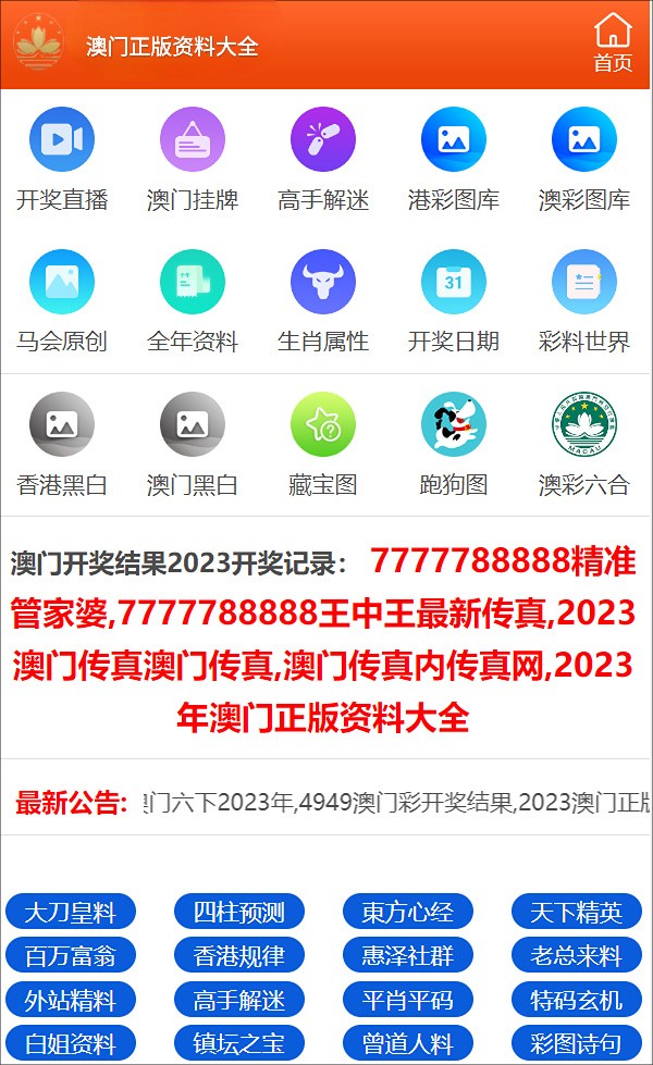 新澳开奖结果查询今天,新澳开奖结果查询今天，探索彩票背后的故事与魅力