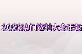 2023澳门正版全年免费资料,澳门正版全年免费资料，探索与期待