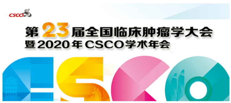 2025新奥资料免费精准071,探索未来，2025新奥资料的免费精准共享之旅（071关键词解读）