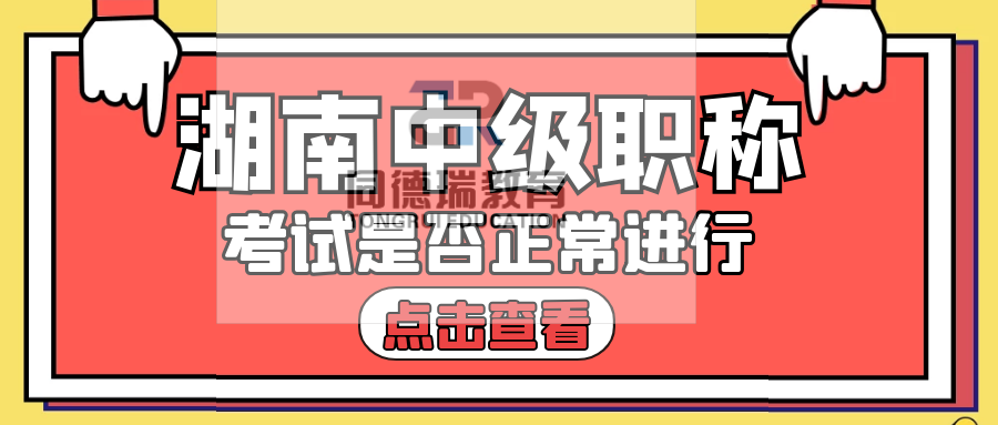 管家婆一肖一马一中一特,管家婆的神秘预测，一肖一马一中一特