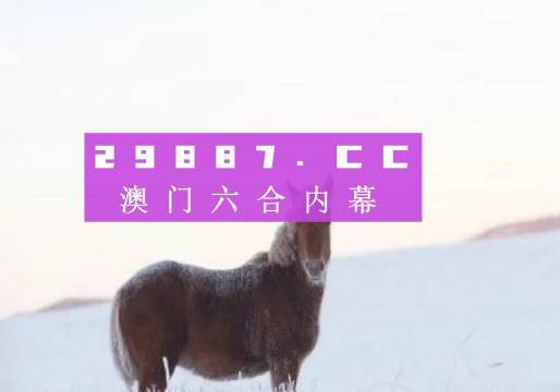 澳门码鞋一肖一码,澳门码鞋一肖一码，探索背后的神秘世界