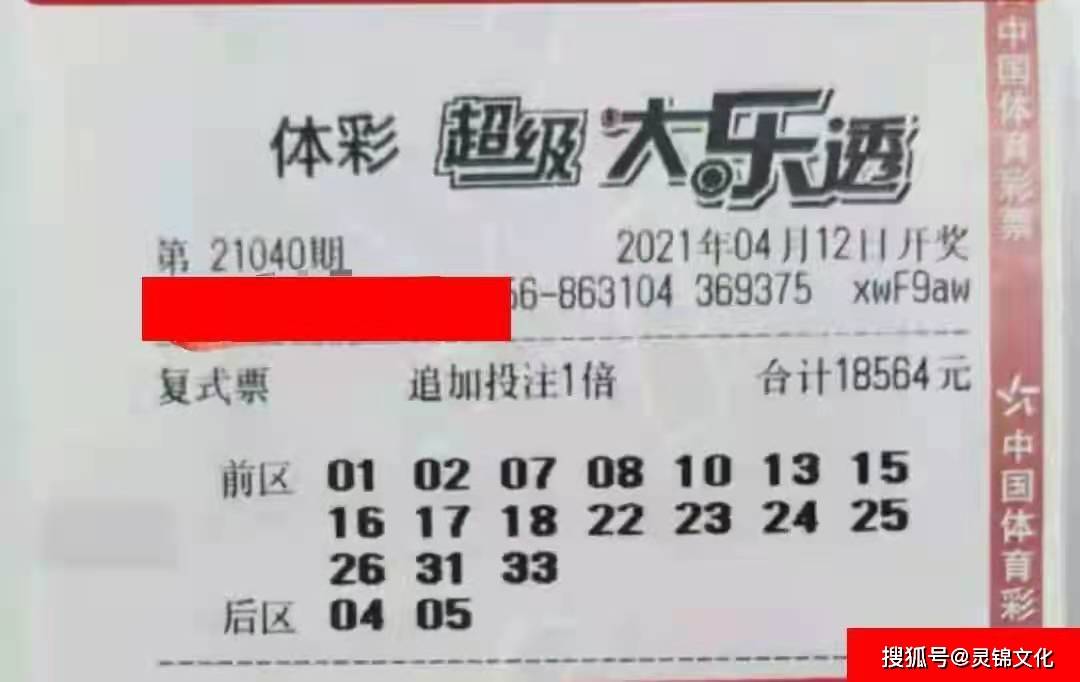 新澳天天开奖资料大全262期,新澳天天开奖资料大全第262期详解